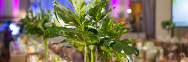 Interview with Event Planner Andre Wells