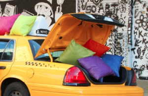 Lance Wovens Pillows