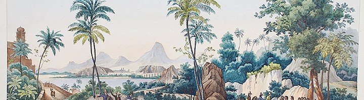 Le Bresil Dinnerware: A Collaboration with Zuber Wallpapers