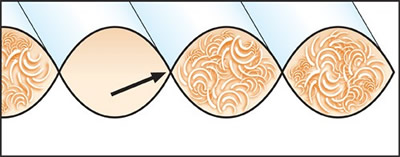 Sewn-Thru Construction (courtesy Down and Feather Council)