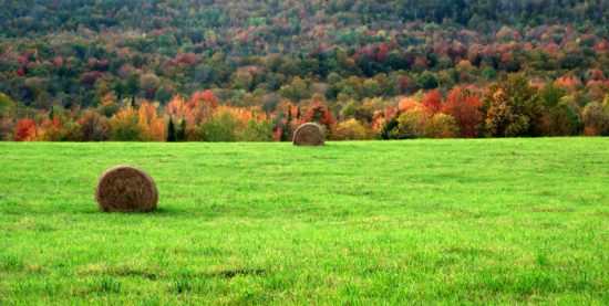 Vermont's rolling hills and grass
