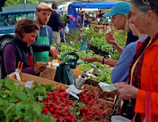 Vermont farmers' market